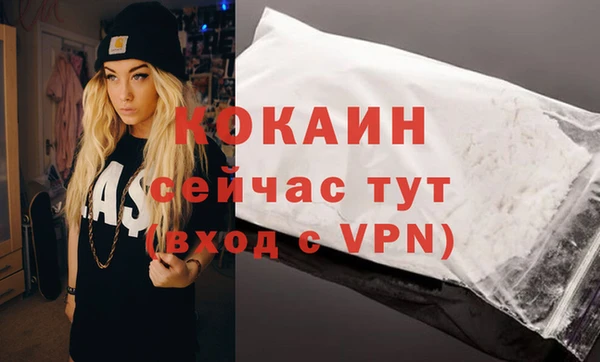 дмт Богданович