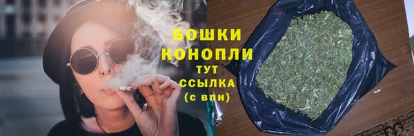 дмт Богданович