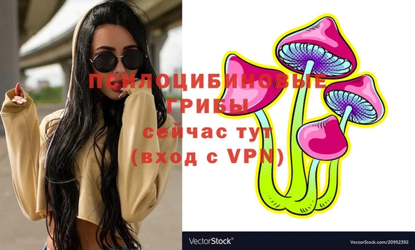 ECSTASY Армянск