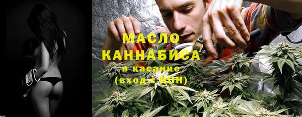 дмт Богданович