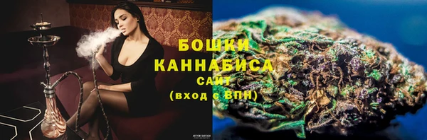 дмт Богданович