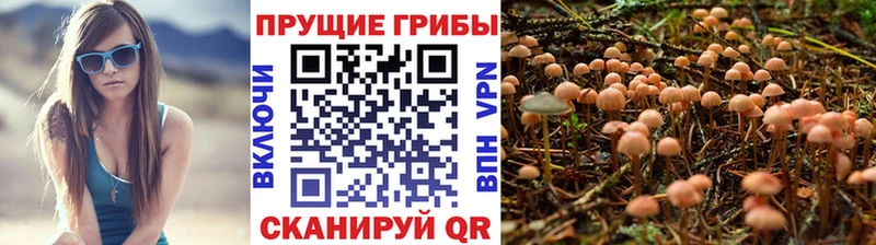 Галлюциногенные грибы мухоморы  что такое   Голицыно 